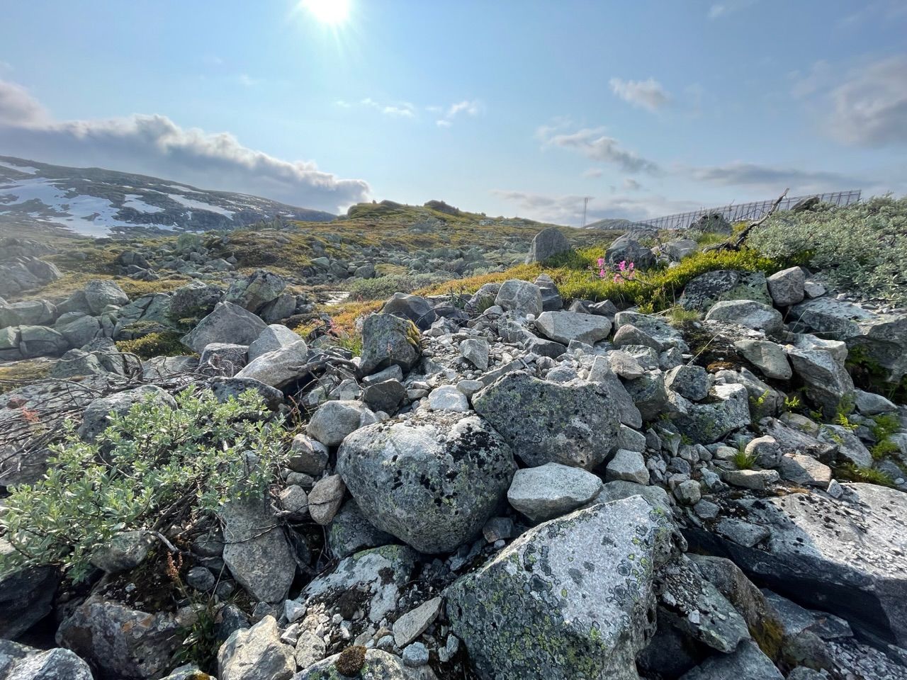 Norway 1 - Rallersvegen, Bergen, Trondheim