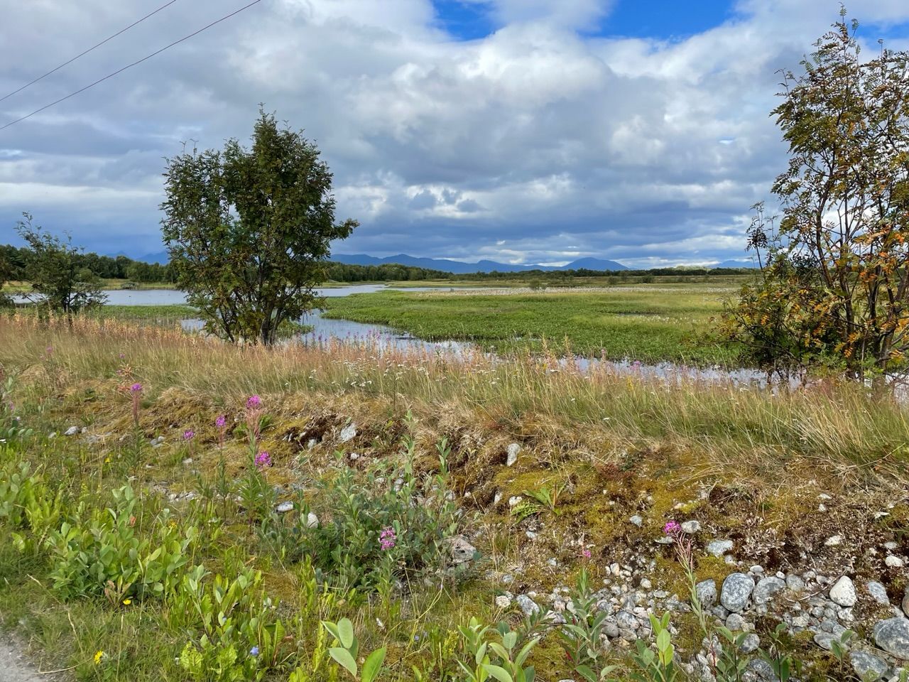 Norway 2 - Atlantic coast: Trondheim, Bodø, Alta, inland detour